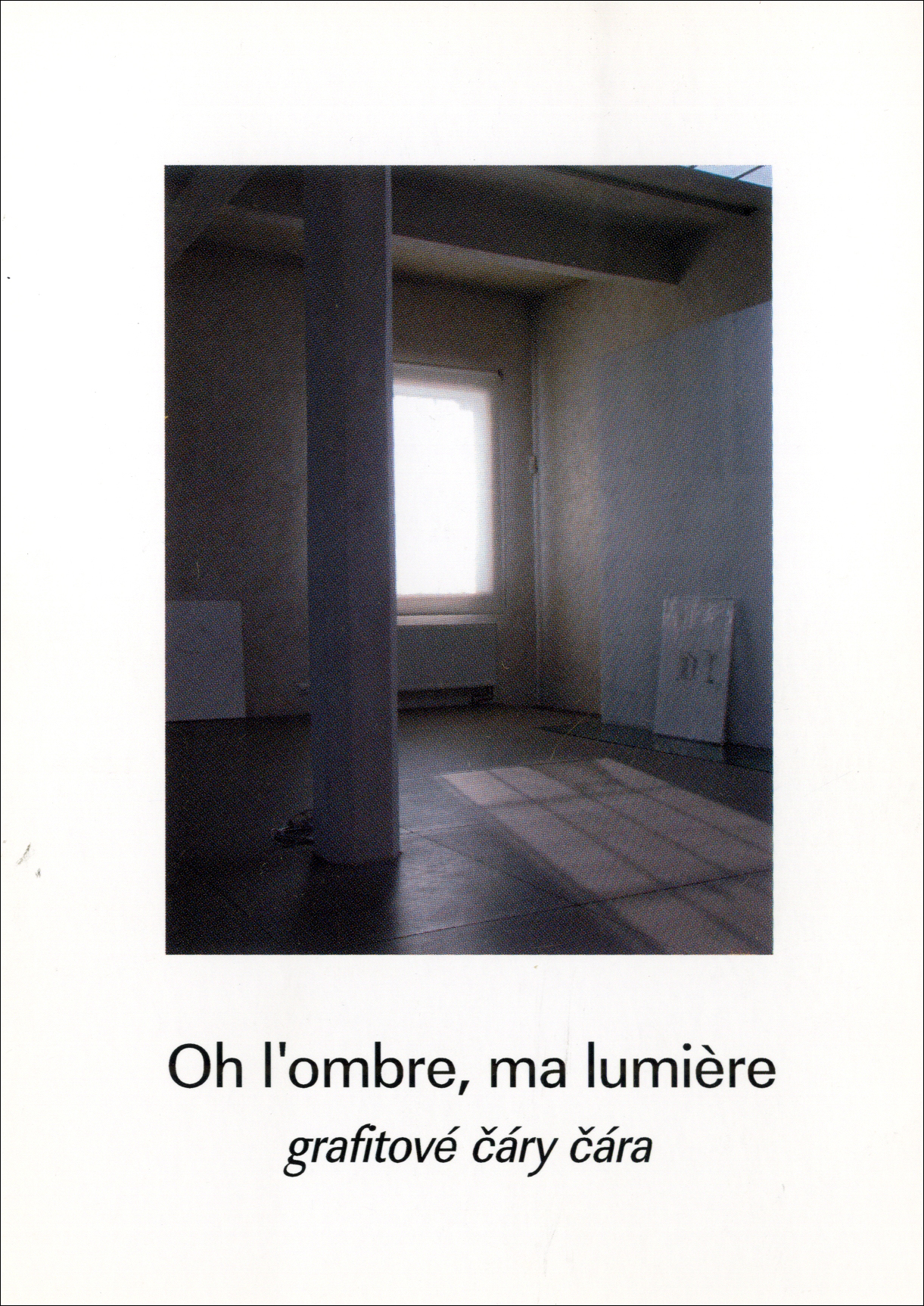 Adriena Šimotová II