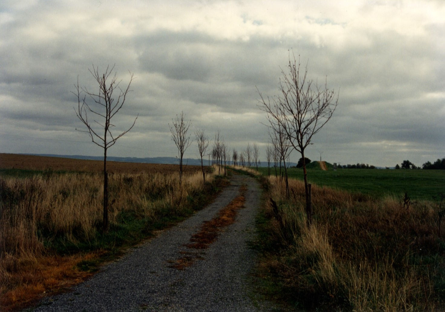 Památník bitvy u Jankova