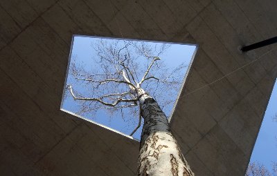 Přednáškový sál v pražské ZOO