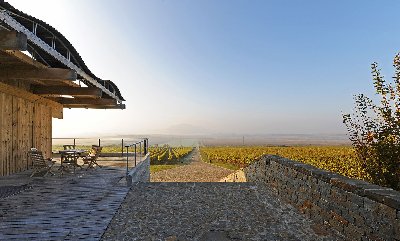 Sonberk a.s., vinařský dům v Popicích