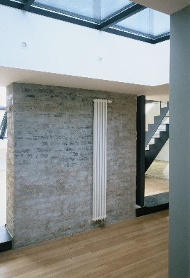 Půdní byty na Vinohradech, Dykova, Řipská