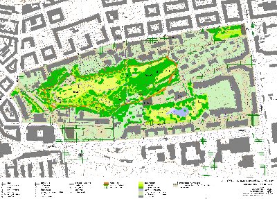 Vrch Křížek/Parukářka