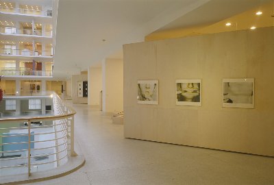 Bez předsudků: experiment šedesátých let