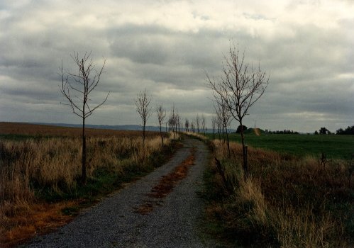 Památník bitvy u Jankova