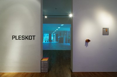 Pleskot