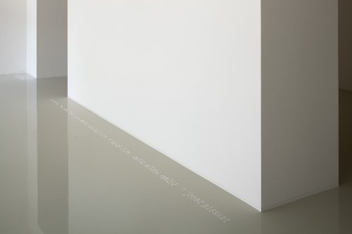 Josef Pleskot / Bílá v bílé