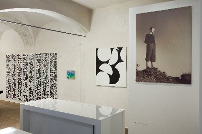 Zdeněk Sýkora / Moje příroda