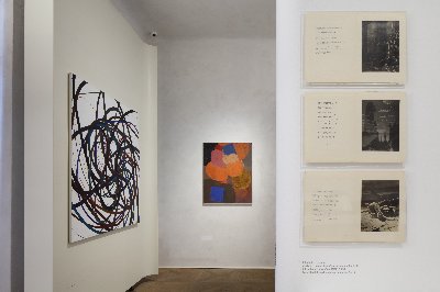 Zdeněk Sýkora / Moje příroda