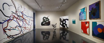 Zdeněk Sýkora / Moje příroda