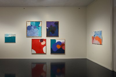 Zdeněk Sýkora / Moje příroda