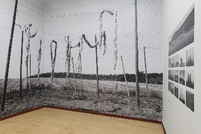 Jitka Svobodová: Za hranou viděného GHMP